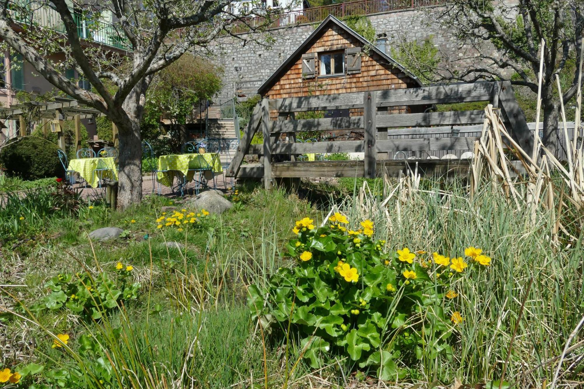 Villa Rosa Trois Epis Bagian luar foto