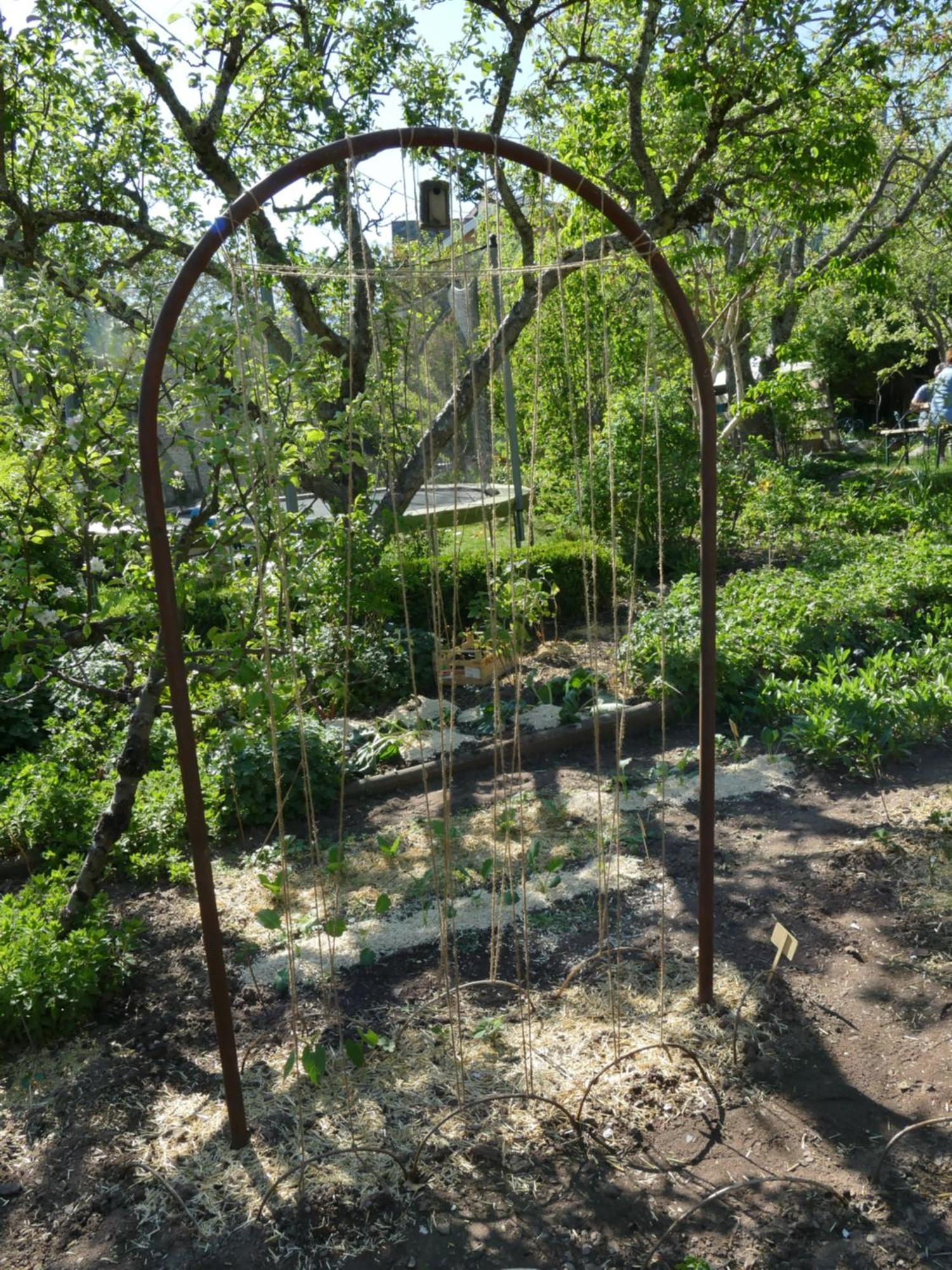 Villa Rosa Trois Epis Bagian luar foto