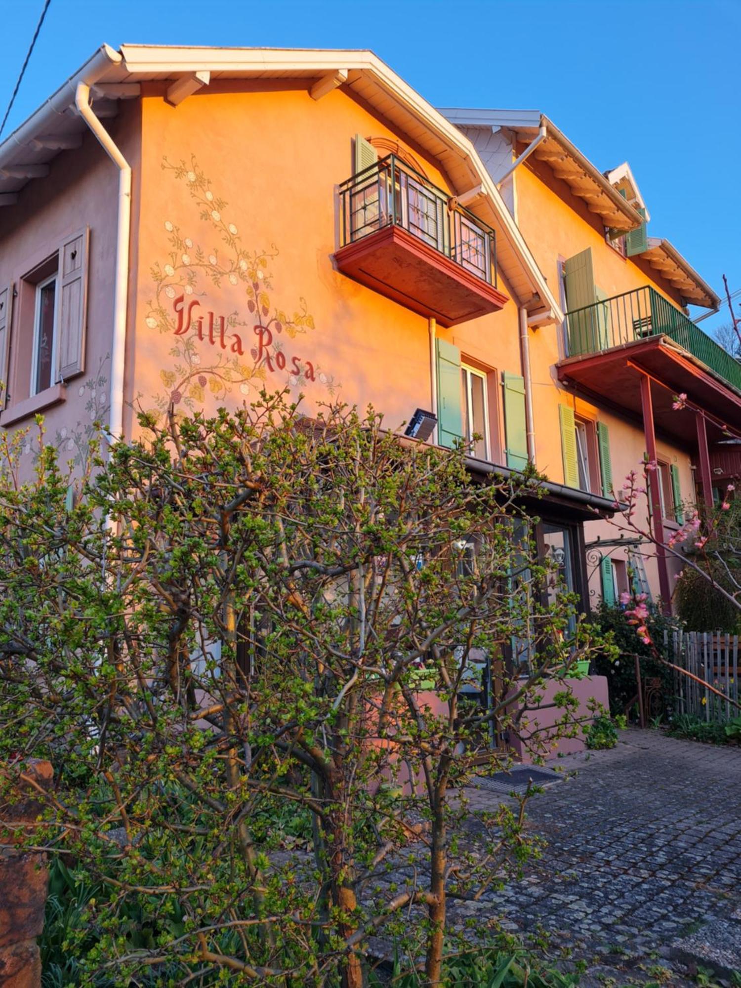 Villa Rosa Trois Epis Bagian luar foto
